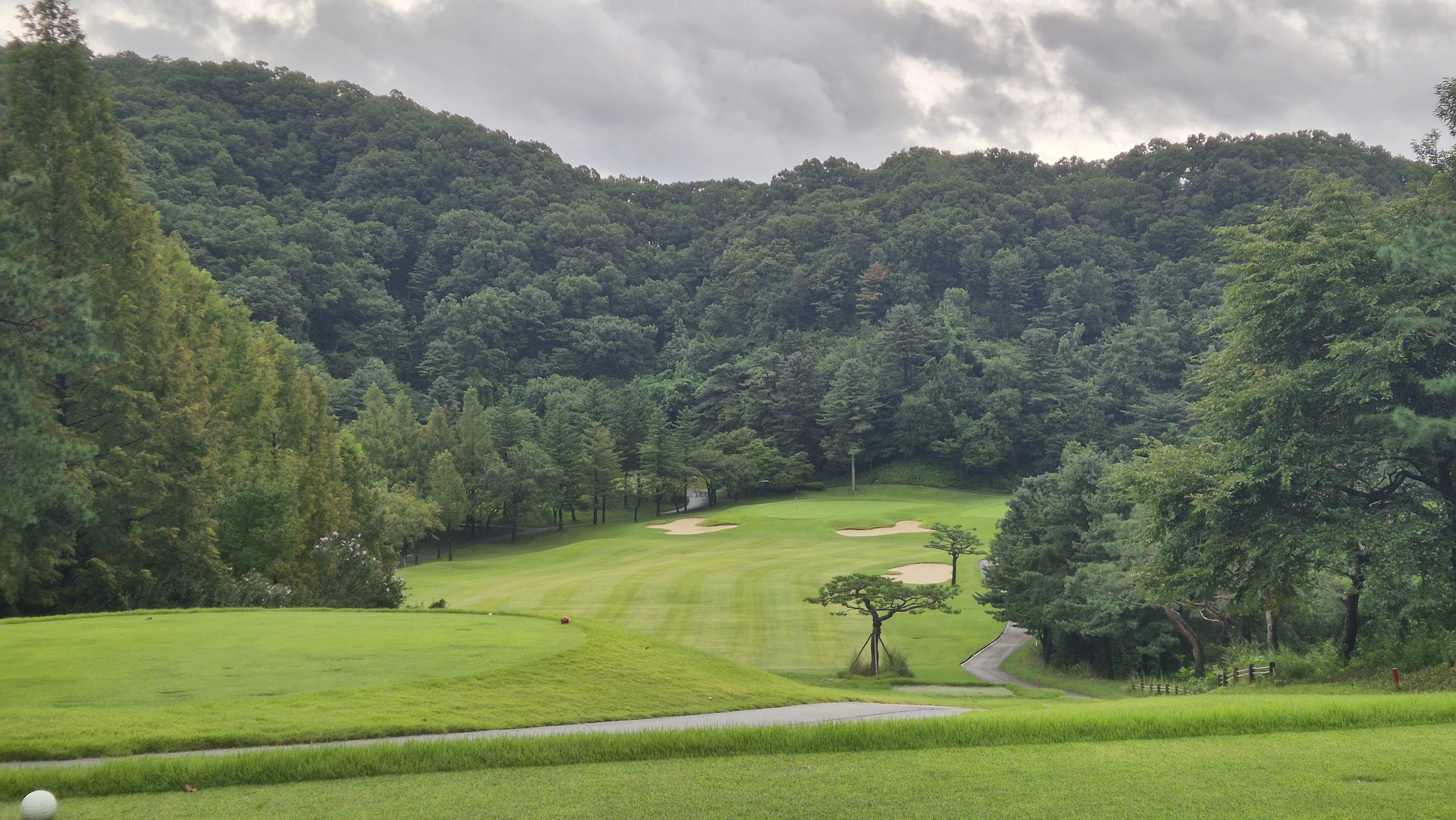 뉴서울cc 예술in-문화in 코스 사진 및 공략 정보