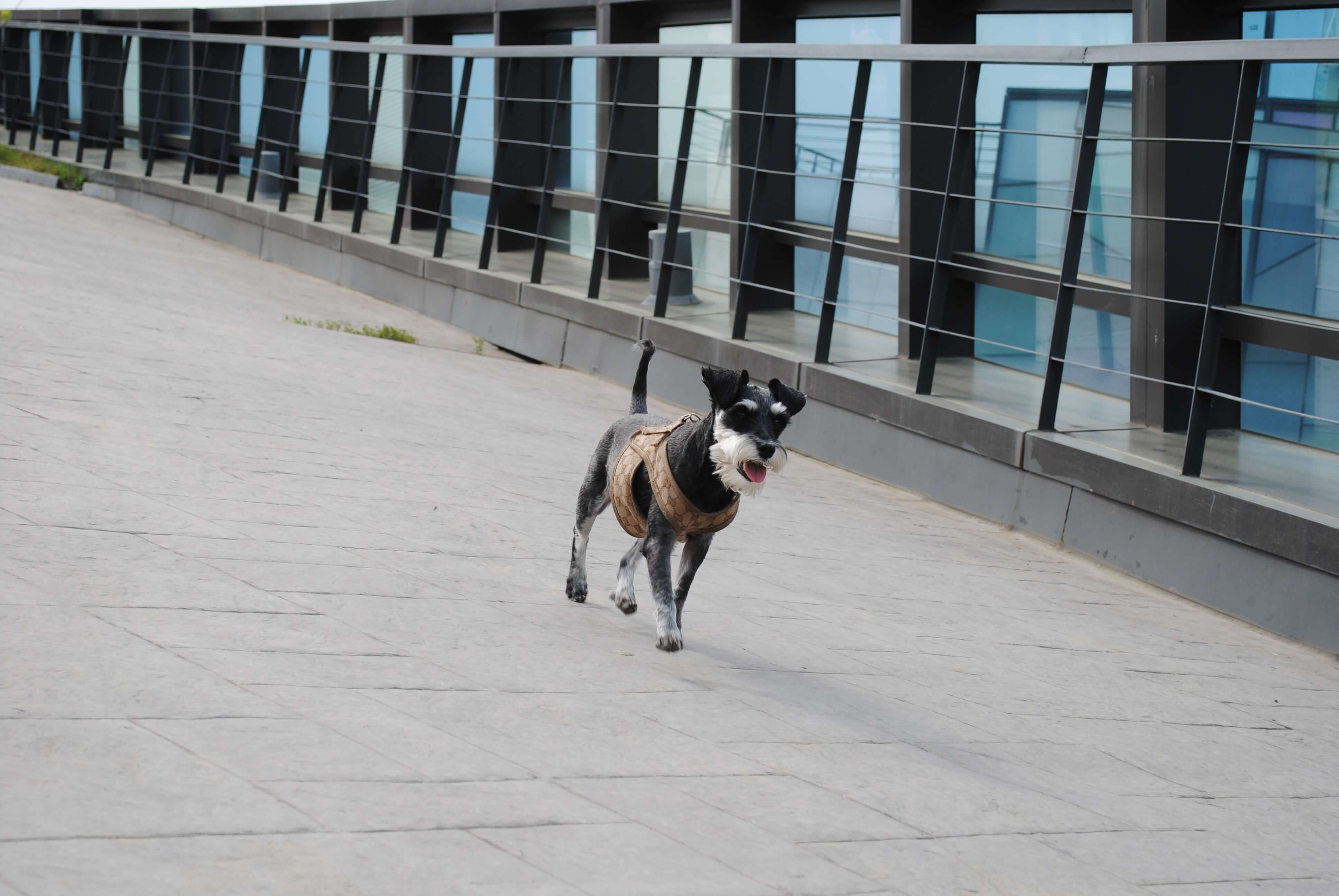 대구스타디움 컬러스퀘어 옥상정원
