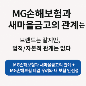 MG손해보험 폐업설? 새마을금고와의 관계 및 내 보험 안전성 총정리