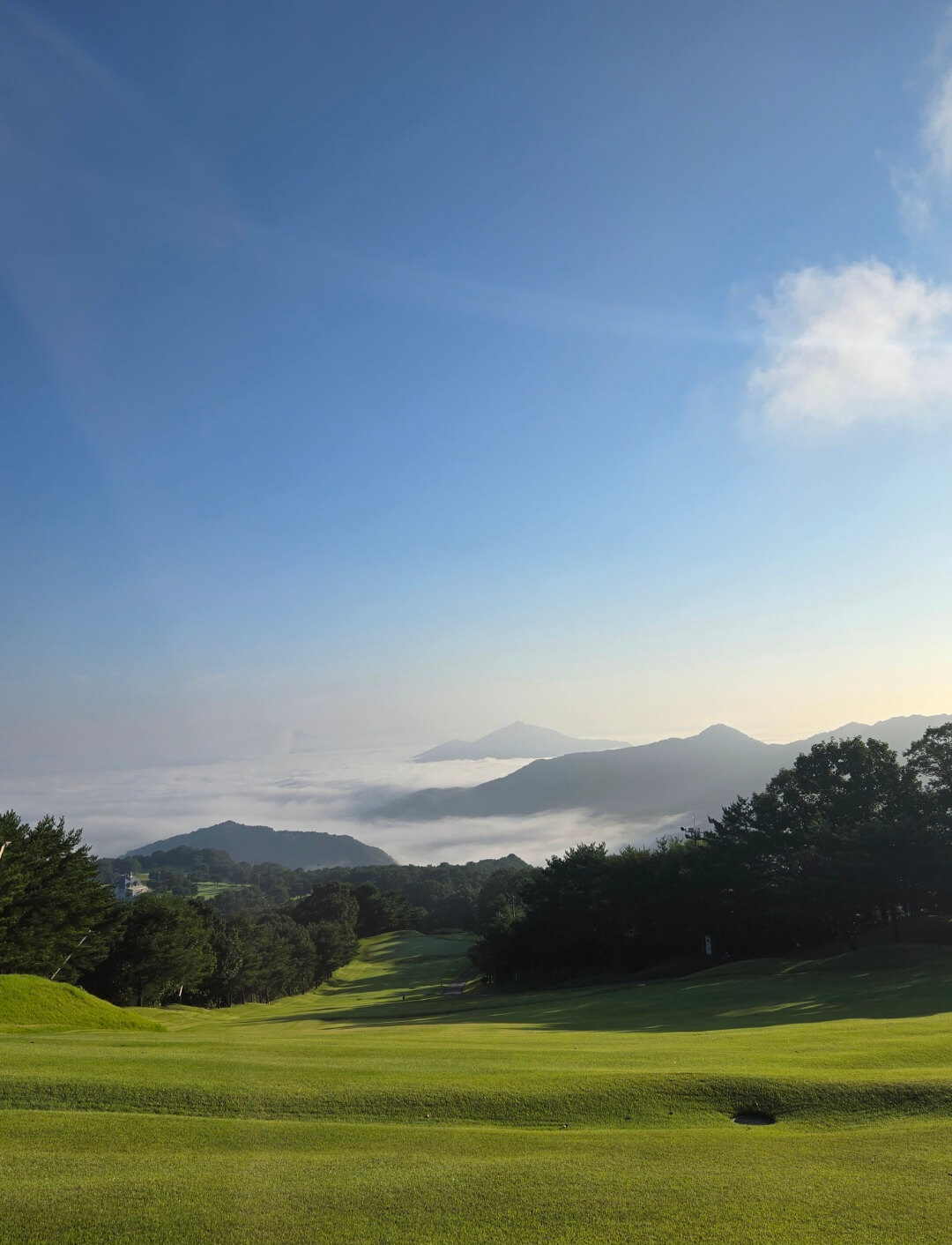 소노펠리체CC비발디파크마운틴 안개낀 정상