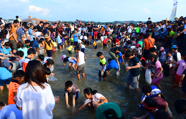 홍성 남당항 대하축제