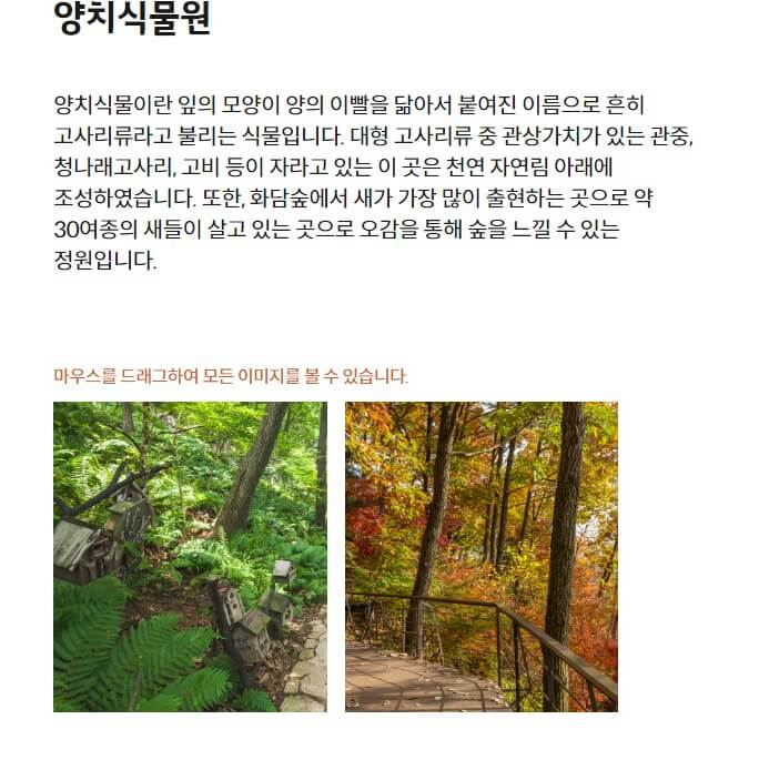 양치식물원