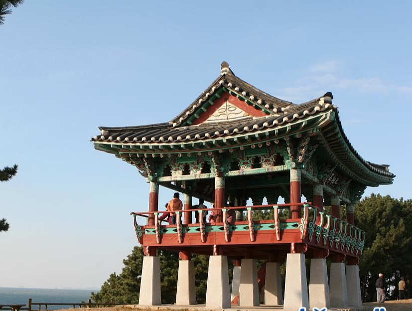 서천 동백꽃 주꾸미축제