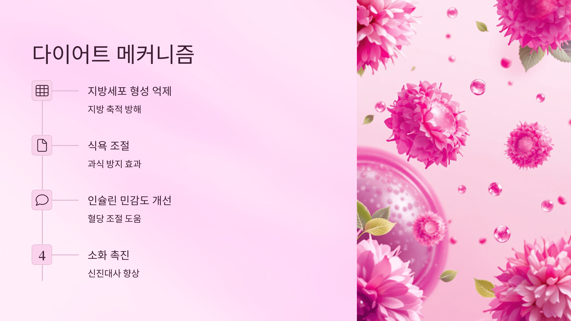 히비스커스 사진입니다.