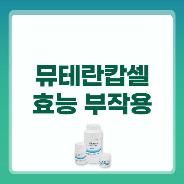 뮤테란캅셀 200mg 효능 캡슐 복용법 부작용