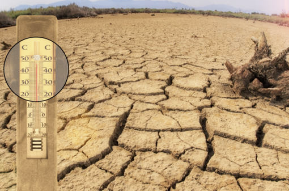 초복 인사 문자 알아보기, 무료 다운로드, 초복 의미와 유래