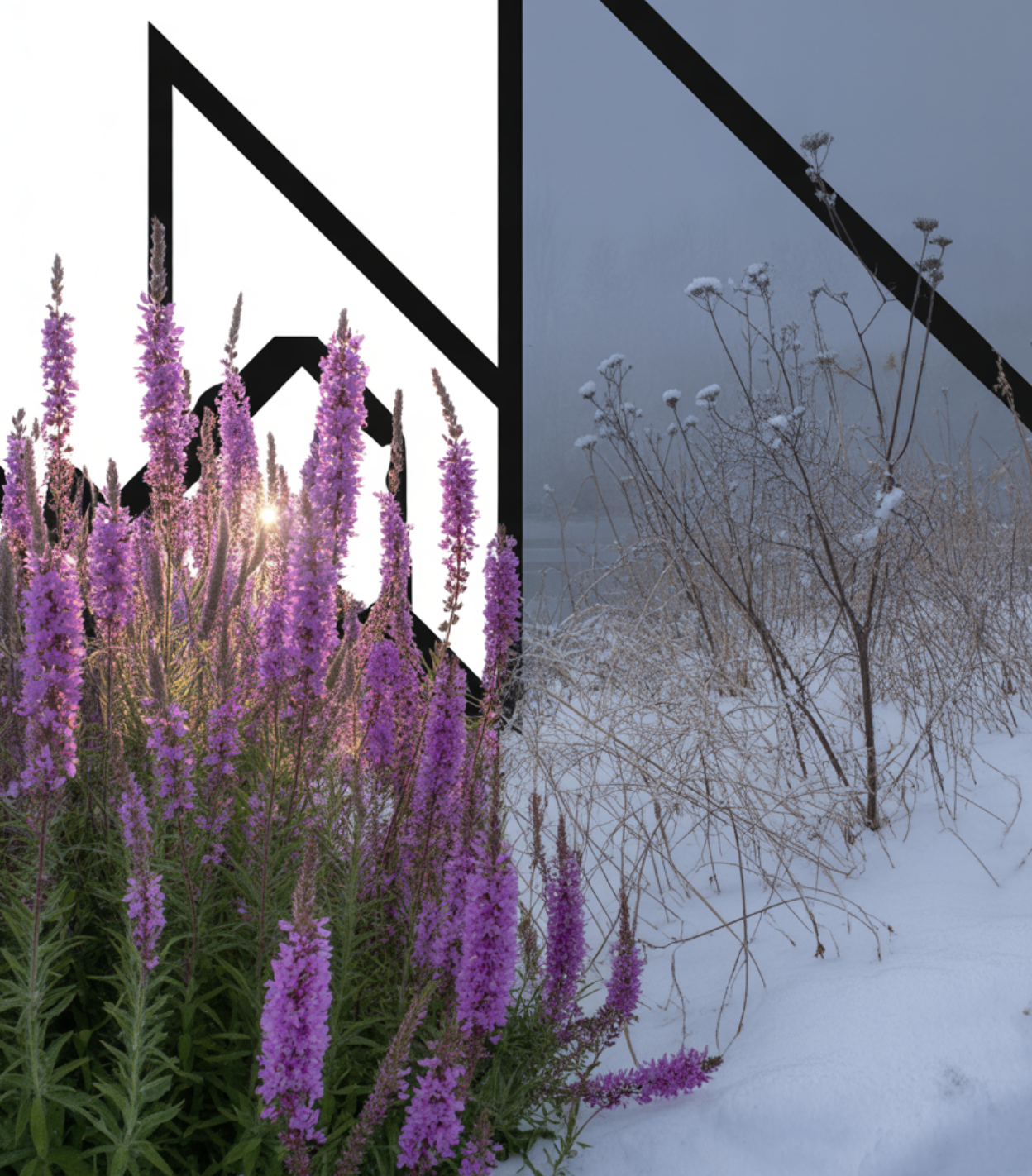 계절에 따라 물주기 조절하기