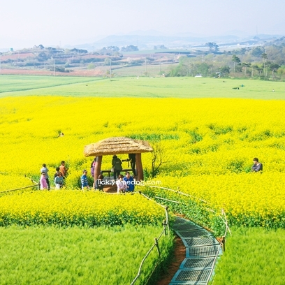 서해안 가볼만한곳 베스트10