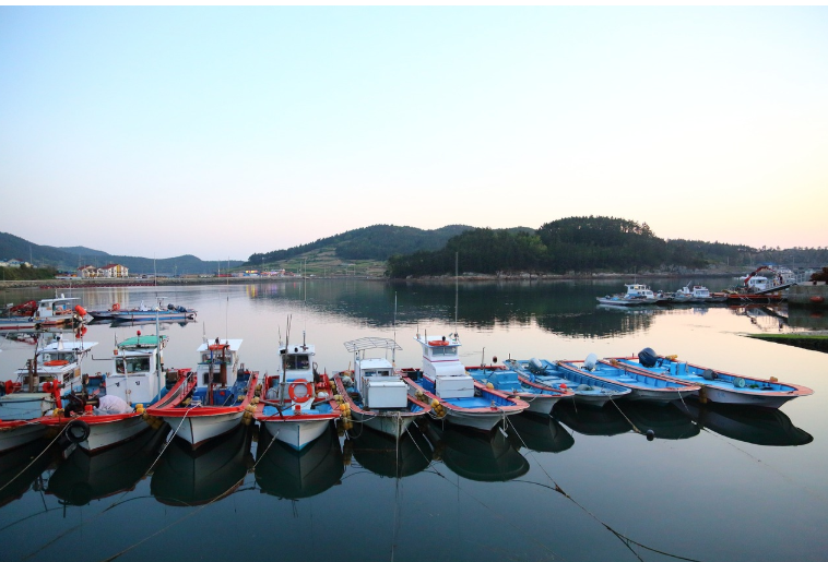 한국의 숨겨진 해변 여행: 울릉도, 완도, 고흥