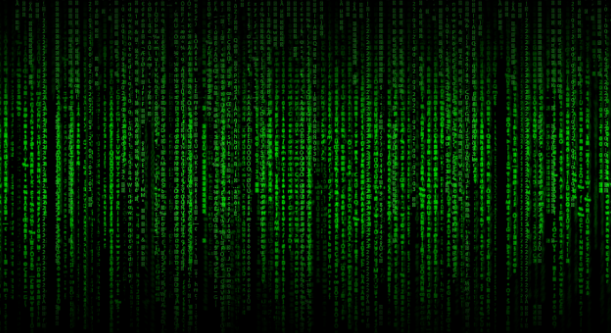 미래에는 어떤 스킬이 중요할까? 필요한 역량과 교육 방법