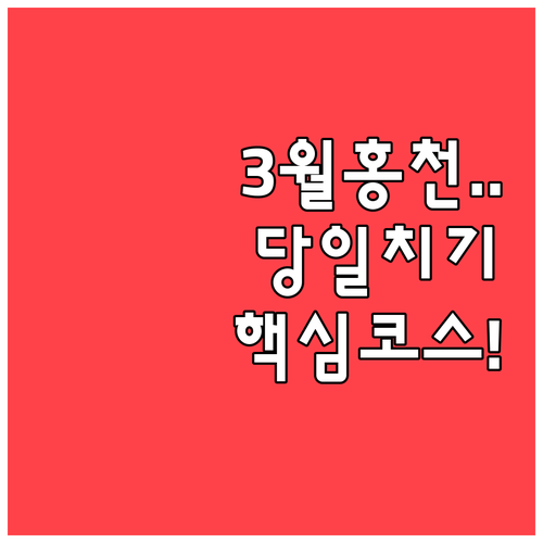 수도권 근교 당일치기 3월 홍천 여행..