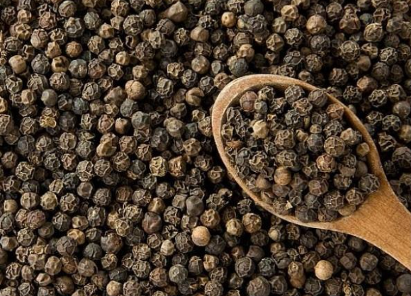 강황과 후추의 조합