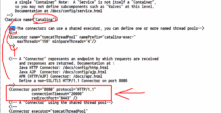 ★Catalina (카타리나) 꼭 기억하기
