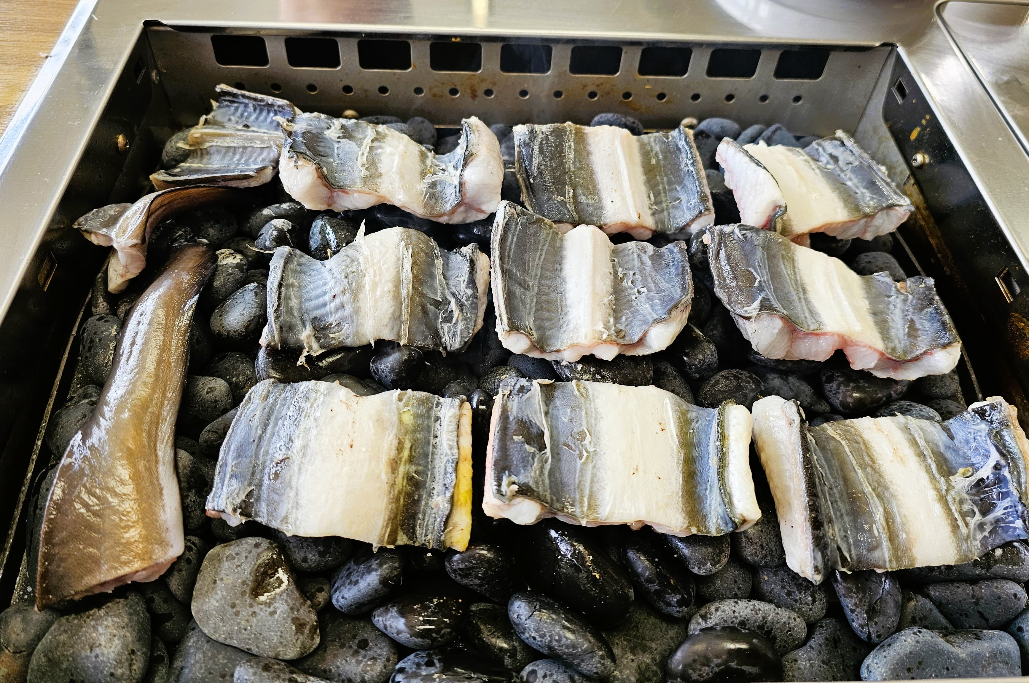 강화도 갯벌 장어 - 일대교 몽돌장어