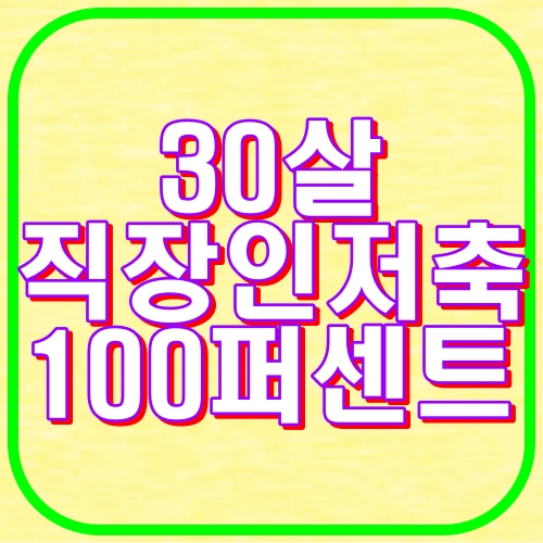 30살 직장인저축 200퍼센트
