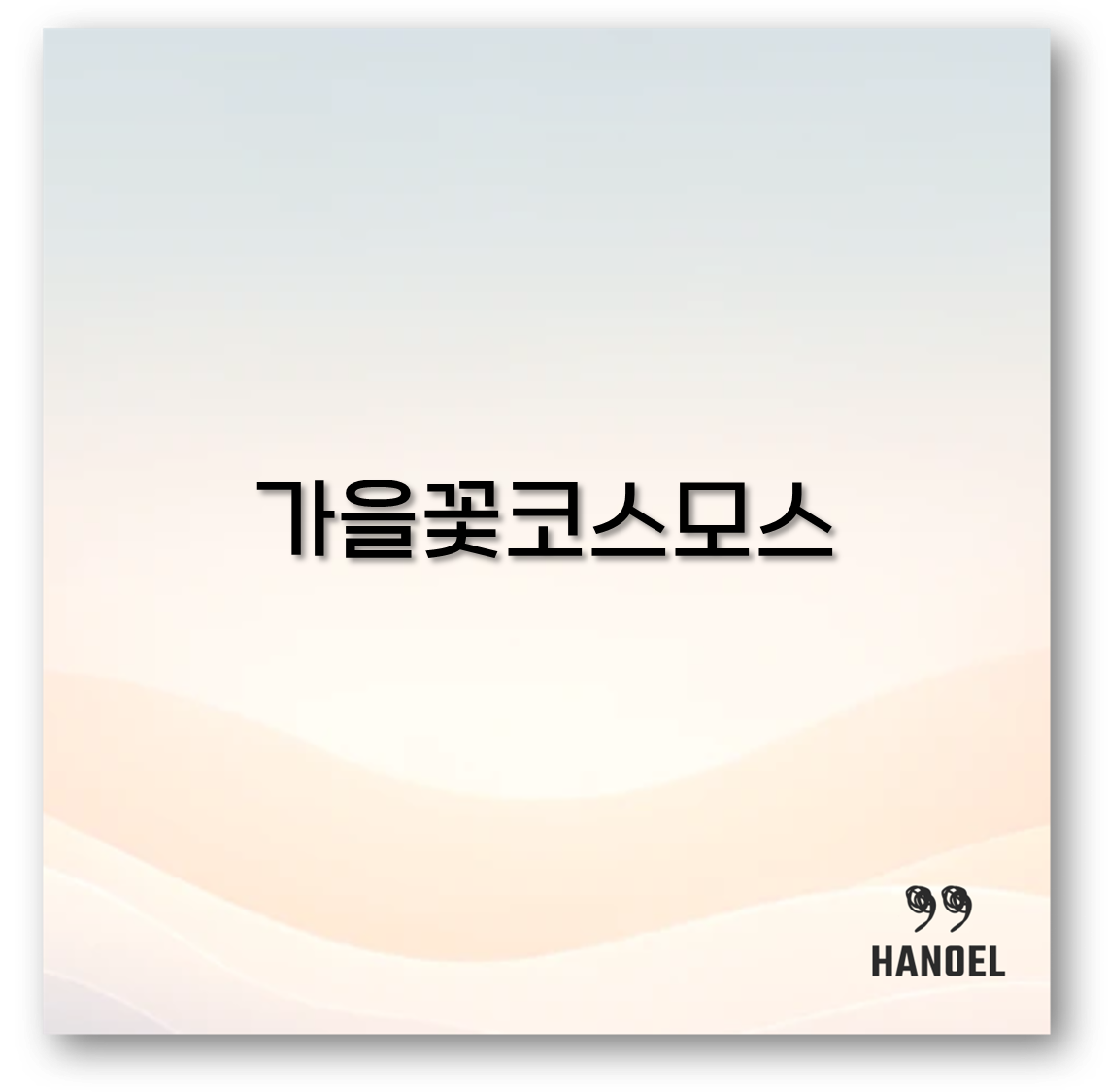 가을꽃코스모스