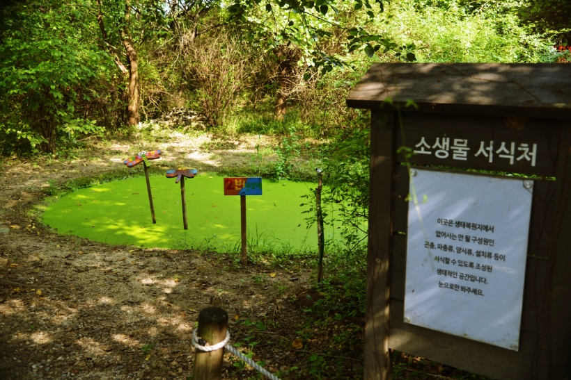 고덕수변생태공원