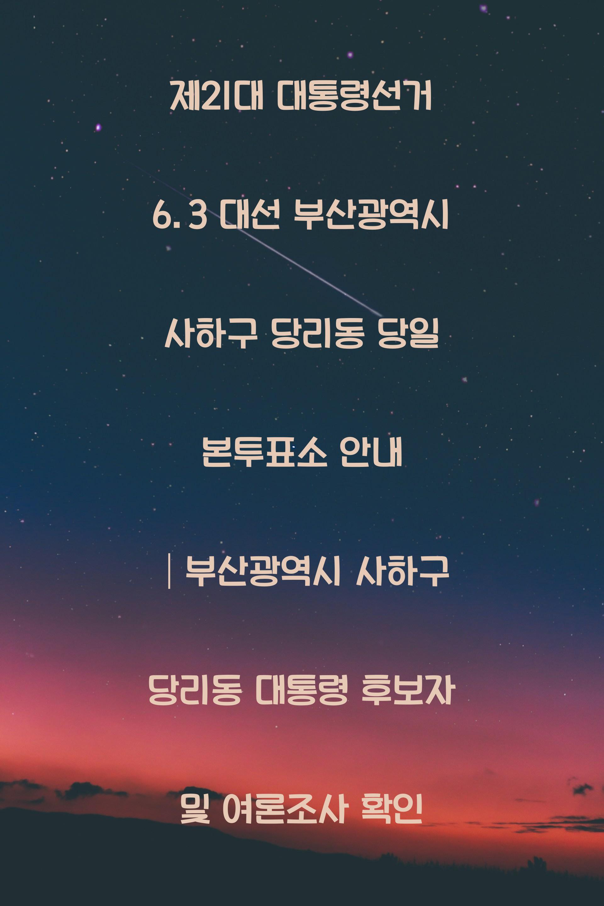 제21대 대통령선거 6.3 대선 부산광역시 사하구 당리동 당일 본투표소 안내 │부산광역시 사하구 당리동 대통령 후보자 및 여론조사 확인