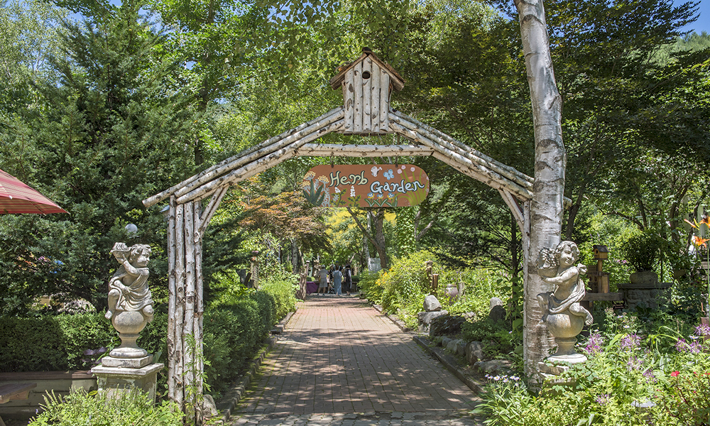 평창 가볼만한곳