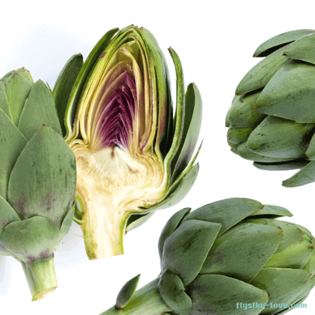 캐비초크(Cabbichok)