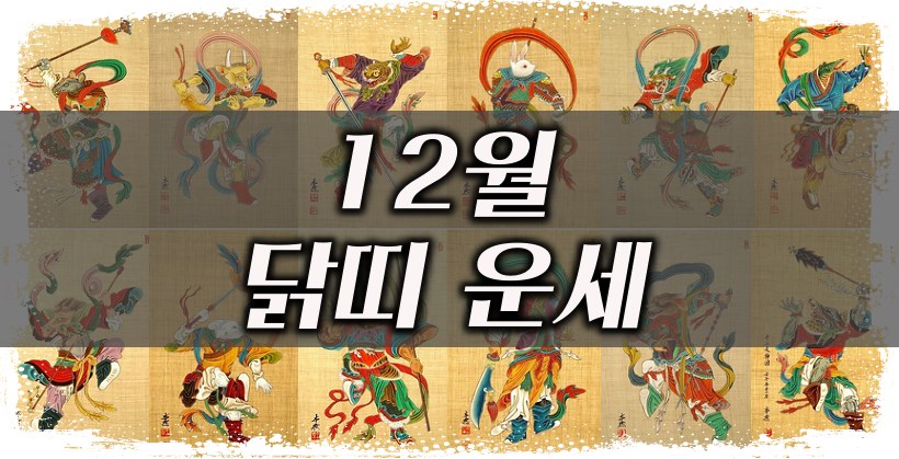12월 닭띠 운세