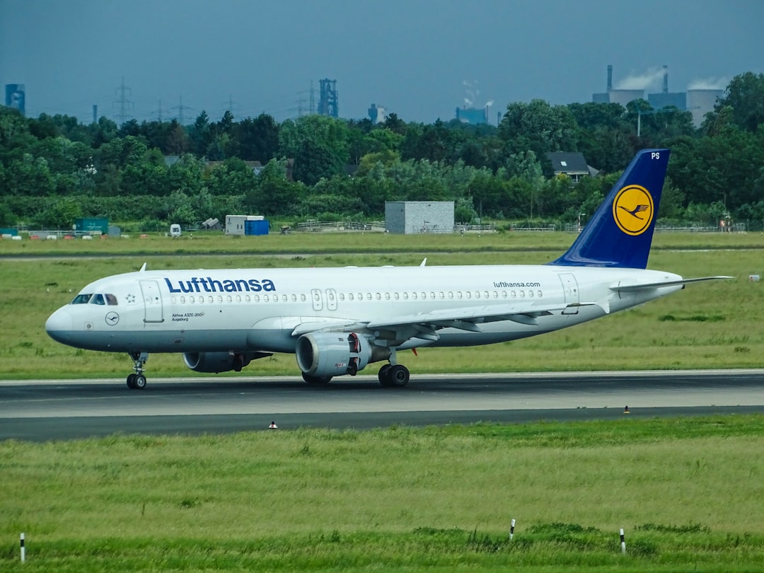 Alliance (동맹)