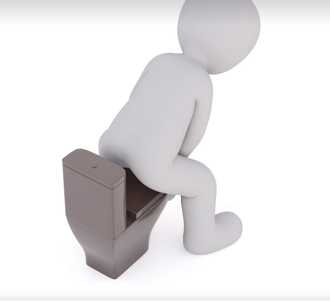 화장실에서 대변을 보는 형상