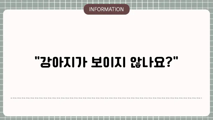 강아지 백내장 증상: 
