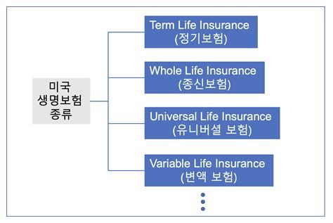 미국유학보험