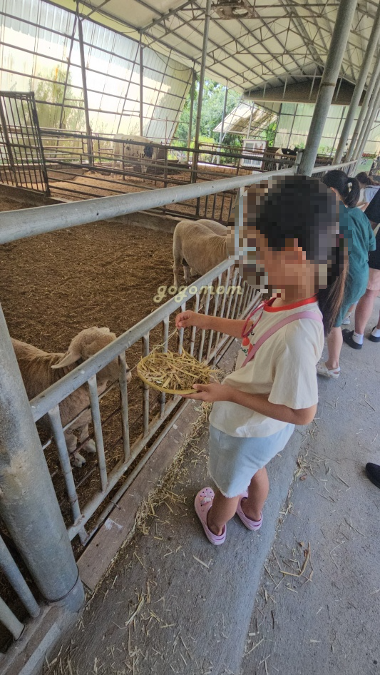 아그로랜드 건초주기