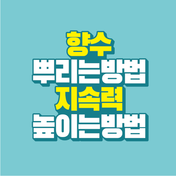 썸네일-향수-뿌리는-방법-지속력-높이는-방법