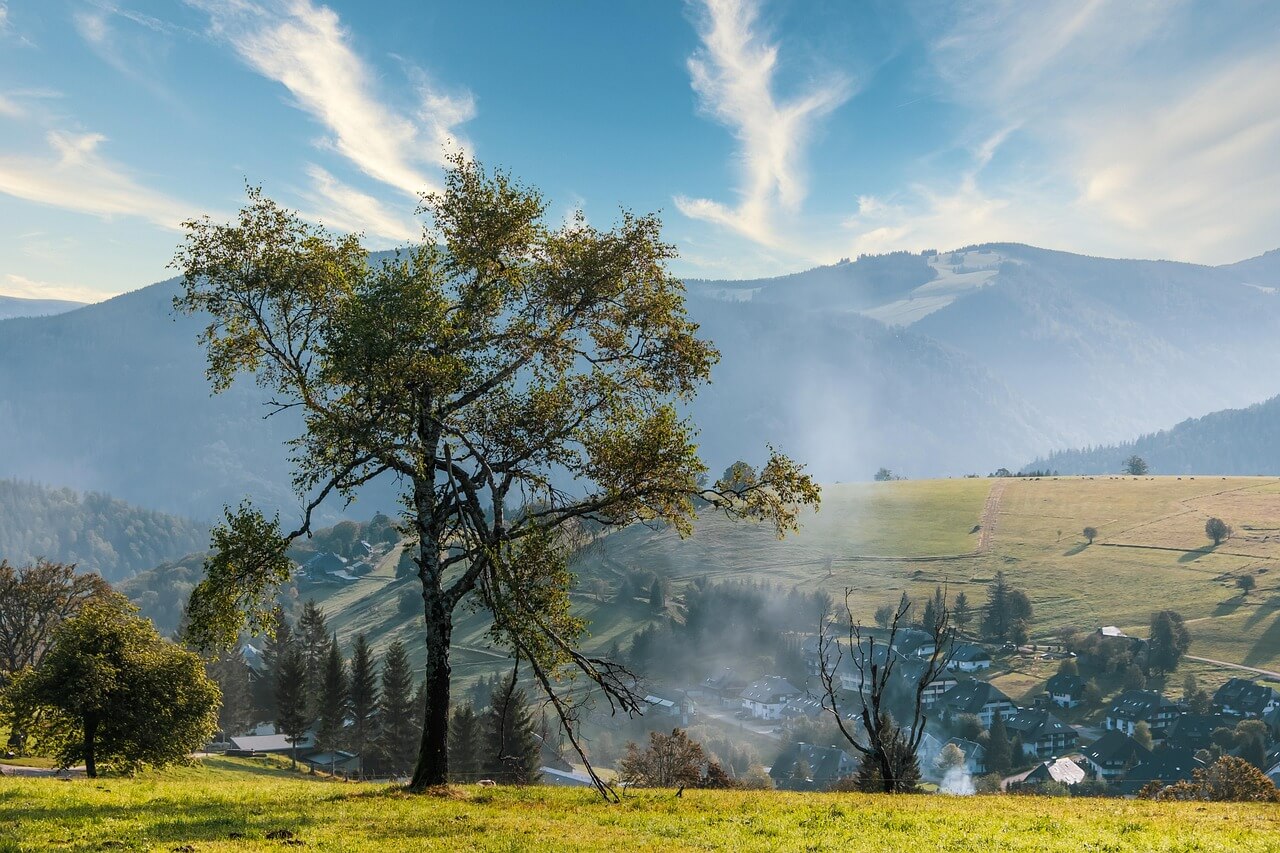 캠페인 유형 및 ROI 전략