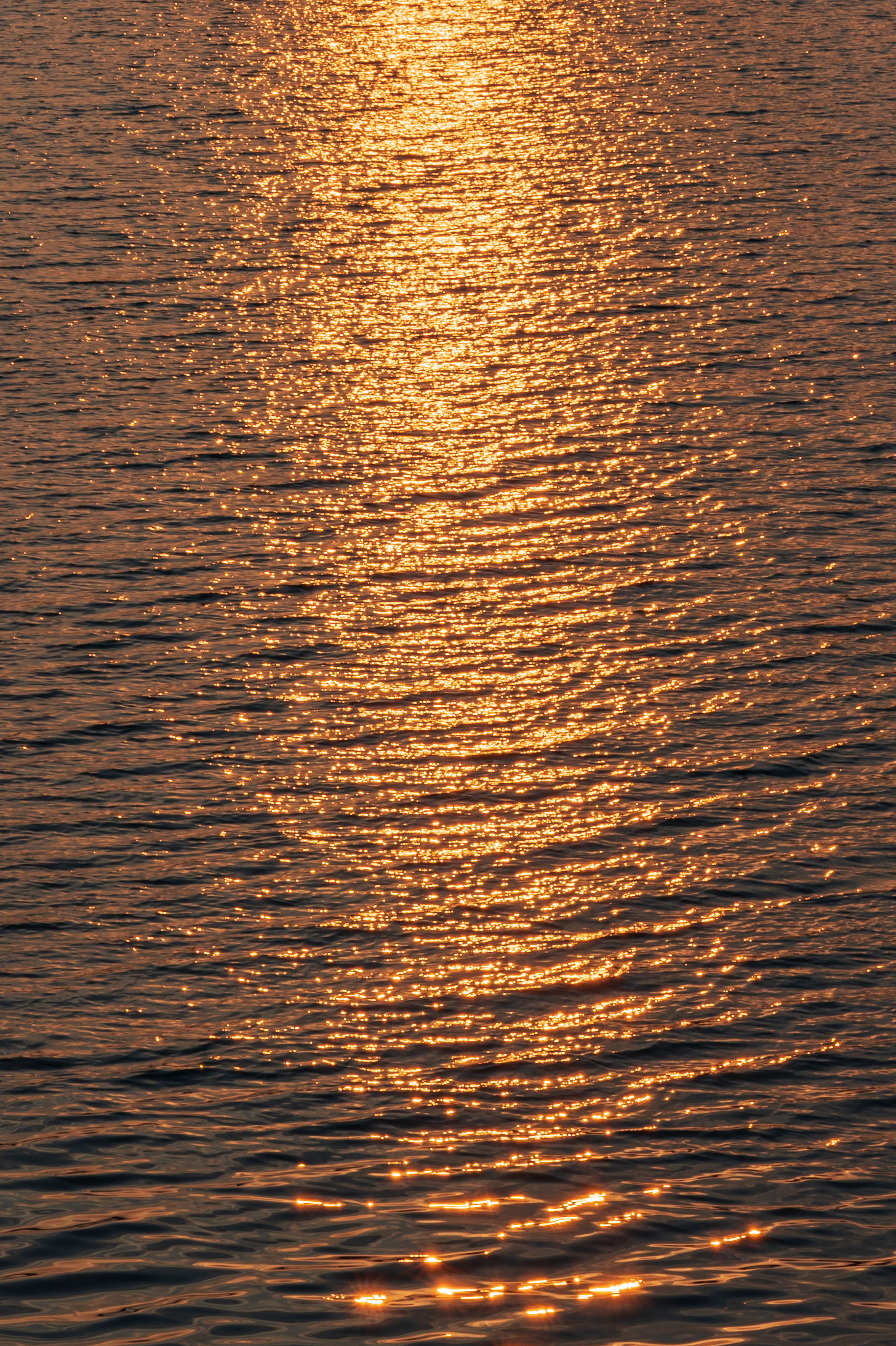청주 가볼 만한 곳, 청남대