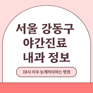 서울 강동구 야간진료 내과 병원 (18시 이후 늦게까지하는 병원)
