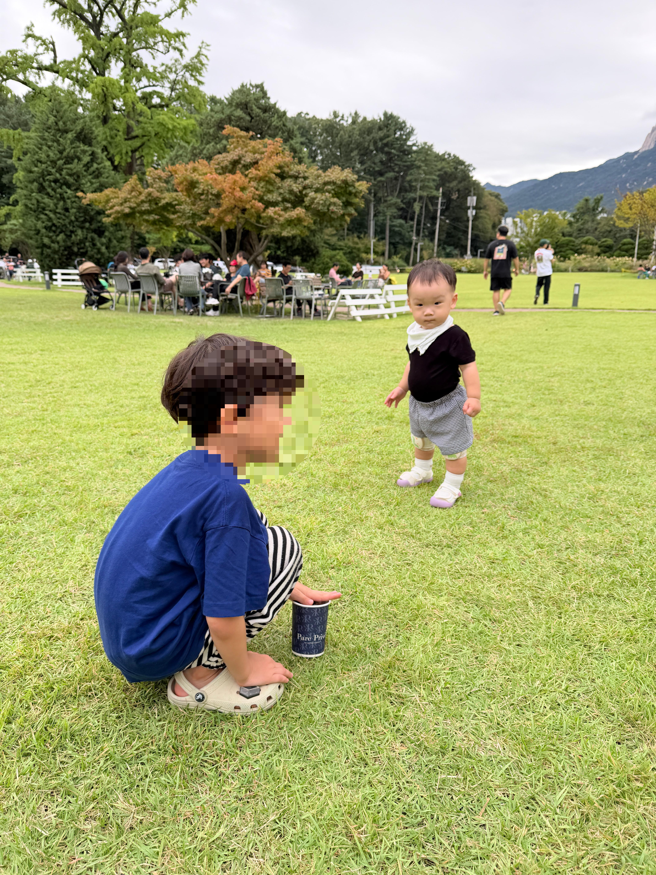 잔디밭 위에서 큰 형아를 보고 있는 아기 솔블리