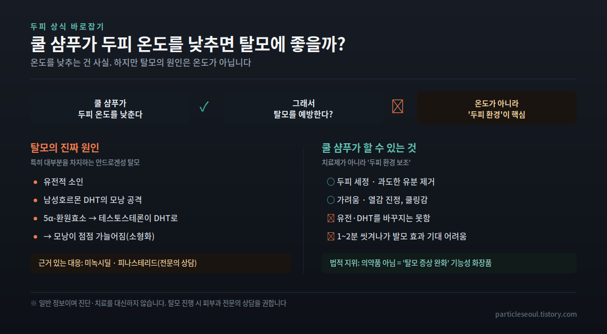 쿨 샴푸와 탈모의 관계 정리 - 쿨 샴푸는 두피 온도를 낮추지만 탈모 예방으로 직결되지 않으며, 탈모의 진짜 원인은 유전과 DHT다. 쿨 샴푸는 세정&middot;진정 보조 역할의 기능성 화장품