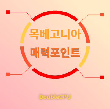 목베고니아 매력포인트