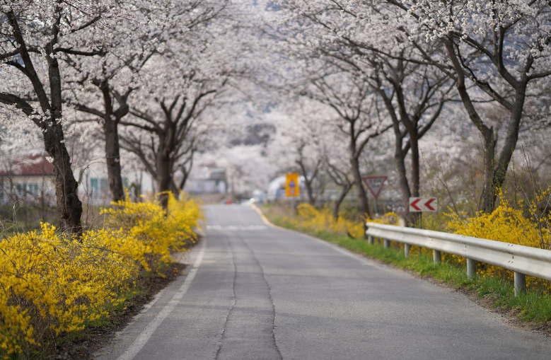 속천항 해안도로 관련 사진