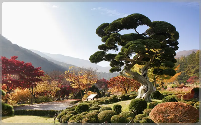 아침고요수목원_1