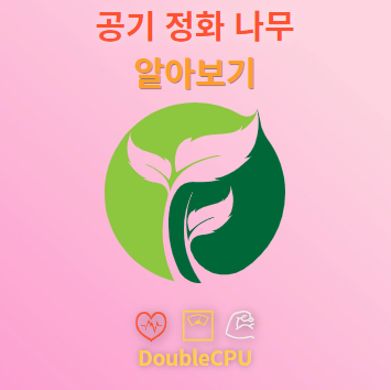 공기 정화 나무 탐구