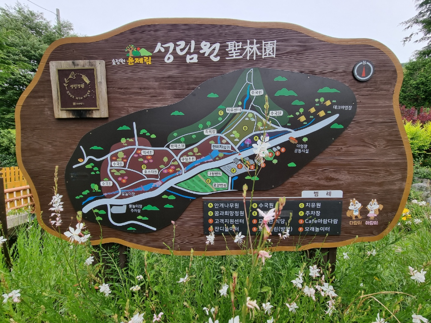 특색있고 아름다운 민간 정원 30선 추천 여행 - 21. 보성 성림정원