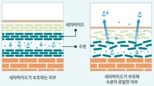 민감성 피부 관리법