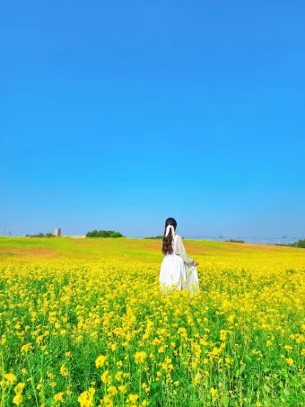 봄 국내 여행지 베스트 10 추천 맛집_15