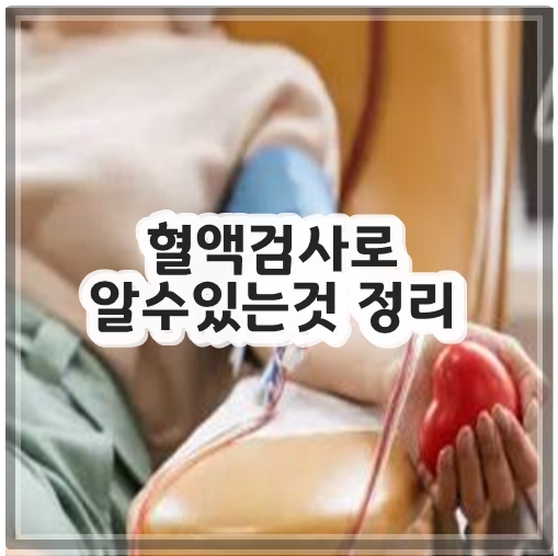 혈액검사로 알수있는것 정리