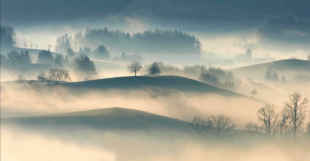 Country