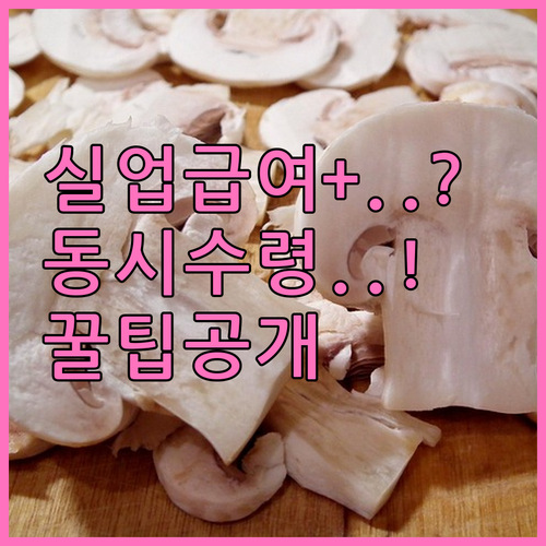 실업급여와 국민취업지원제도 동시 수령..