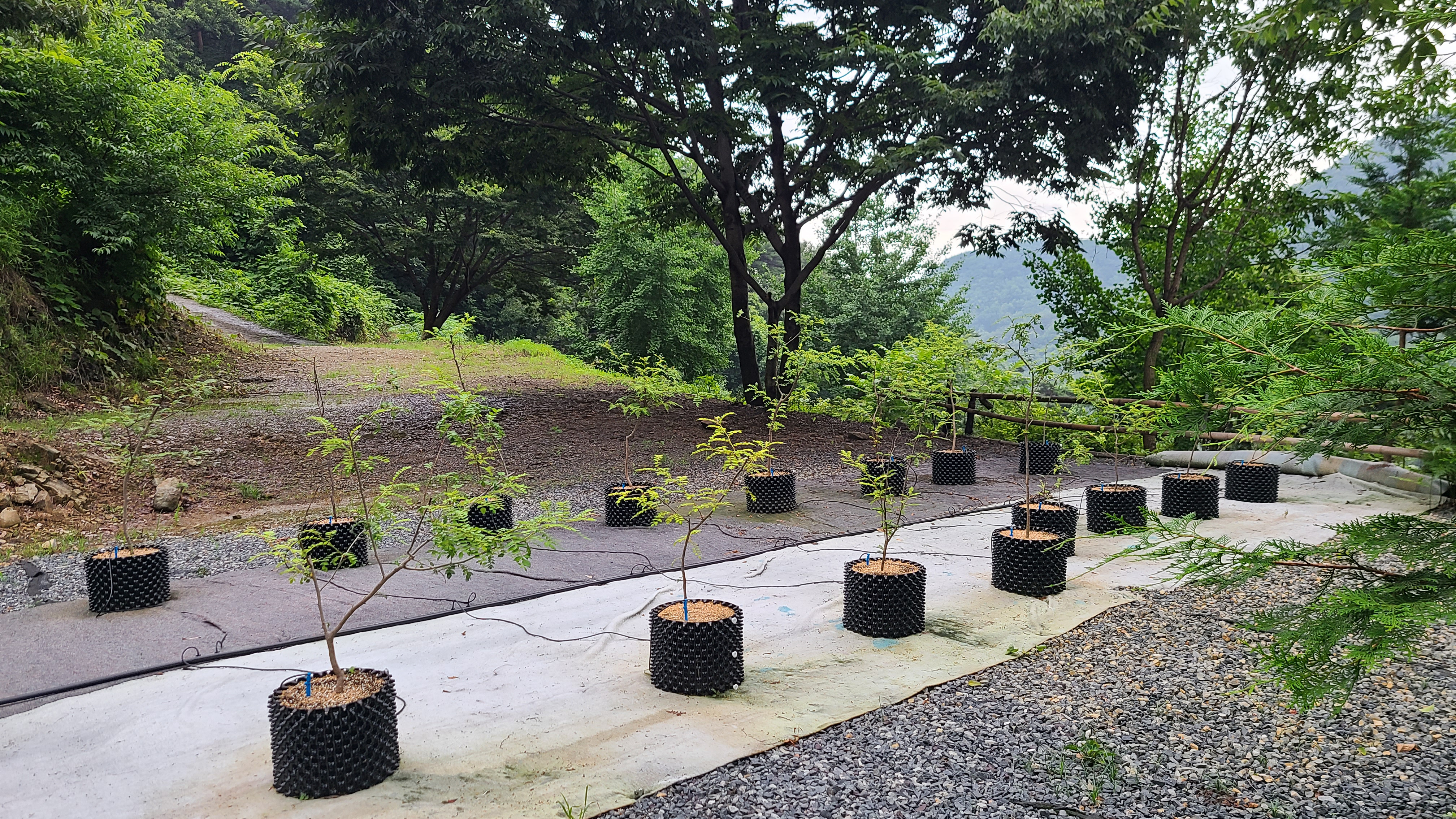 서당골 오토 캠핑장