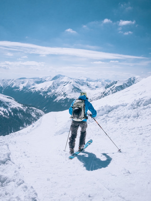 따뜻한 겨울 서울 식물원 온실 데이트 코스