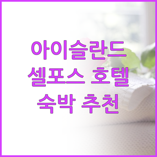 아이슬란드 셀포스 호텔 숙박 후기 총