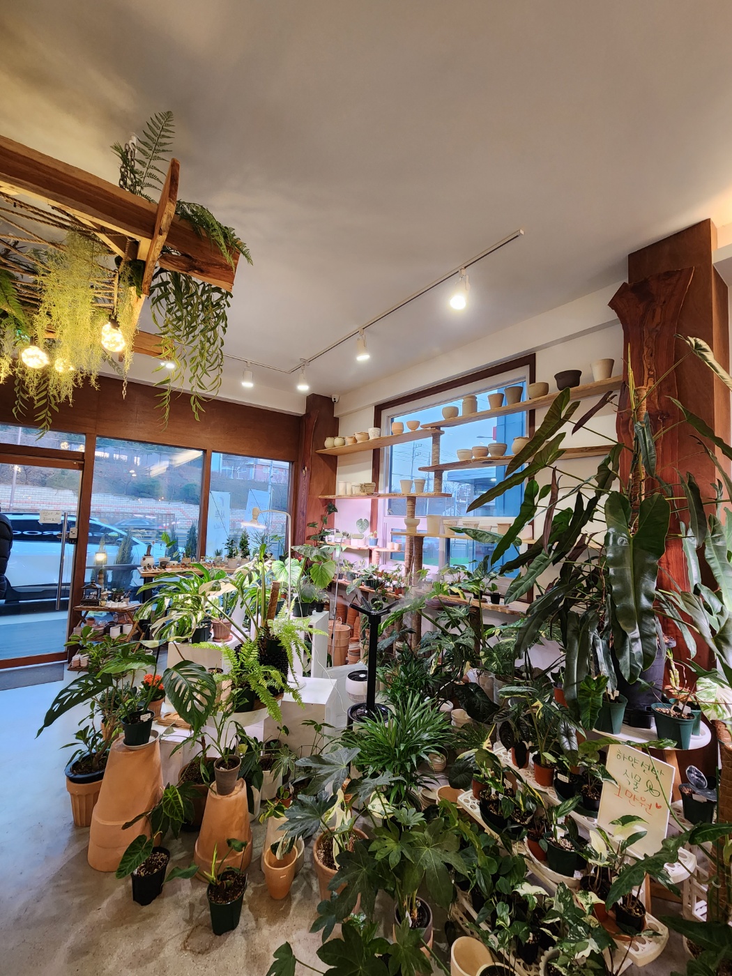 이쁜 도자기 화분들과 서루카페 식물들모습